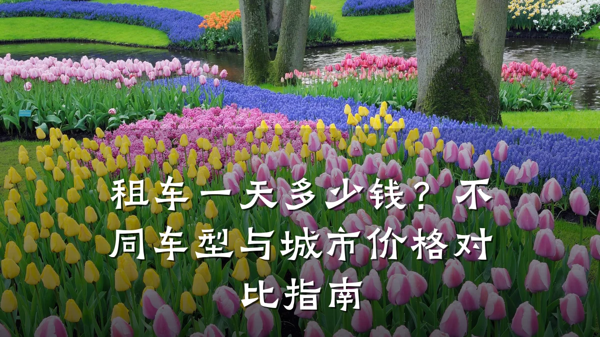租车一天多少钱？不同车型与城市价格对比指南