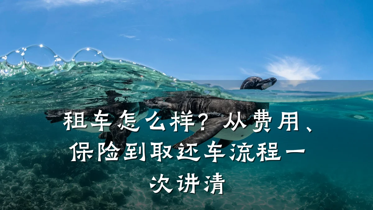 租车怎么样?从费用、保险到取还车流程一次讲清