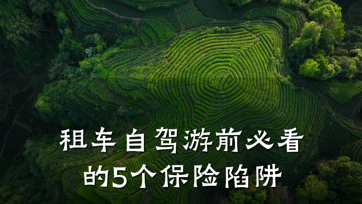 租车自驾游前必看的5个保险陷阱