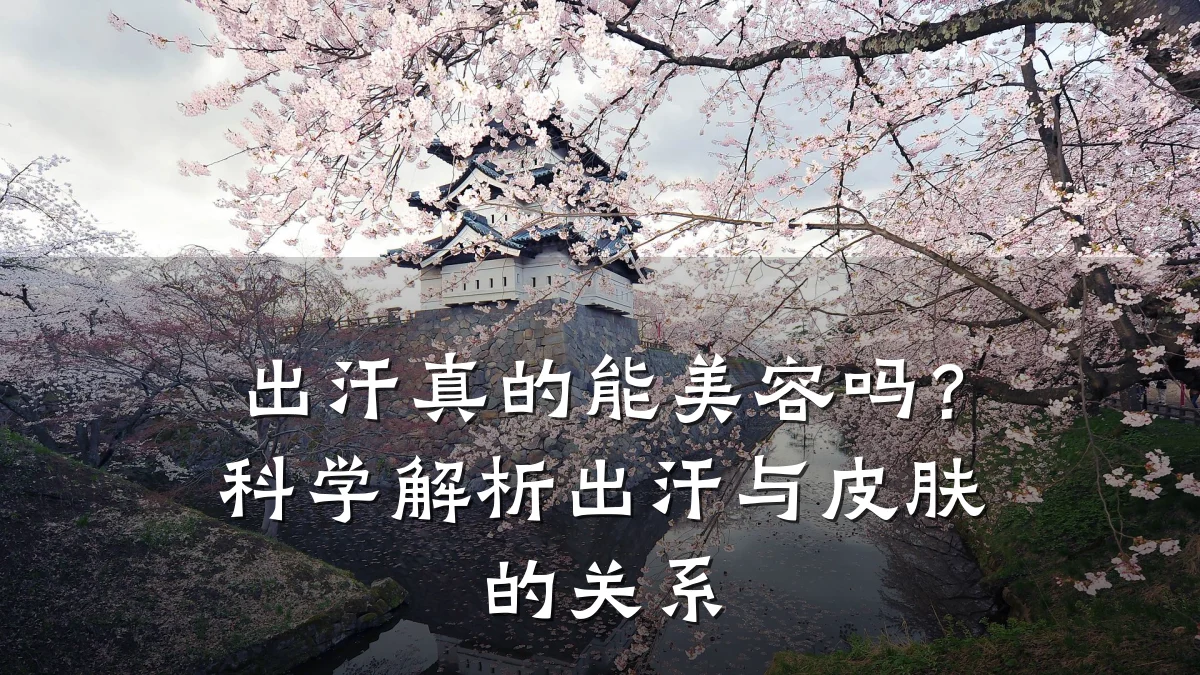 出汗真的能美容吗?科学解析出汗与皮肤的关系