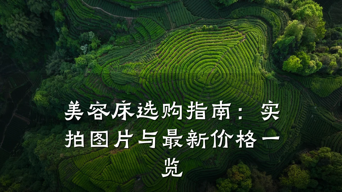 美容床选购指南：实拍图片与最新价格一览