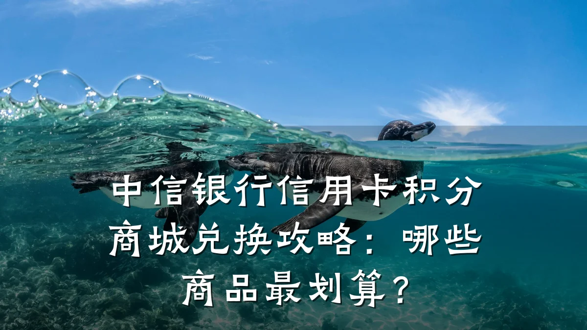 中信银行信用卡积分商城兑换攻略:哪些商品最划算?