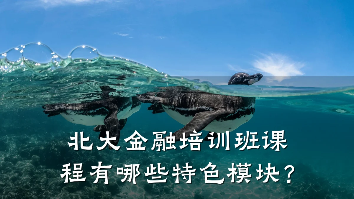 北大金融培训班课程有哪些特色模块？