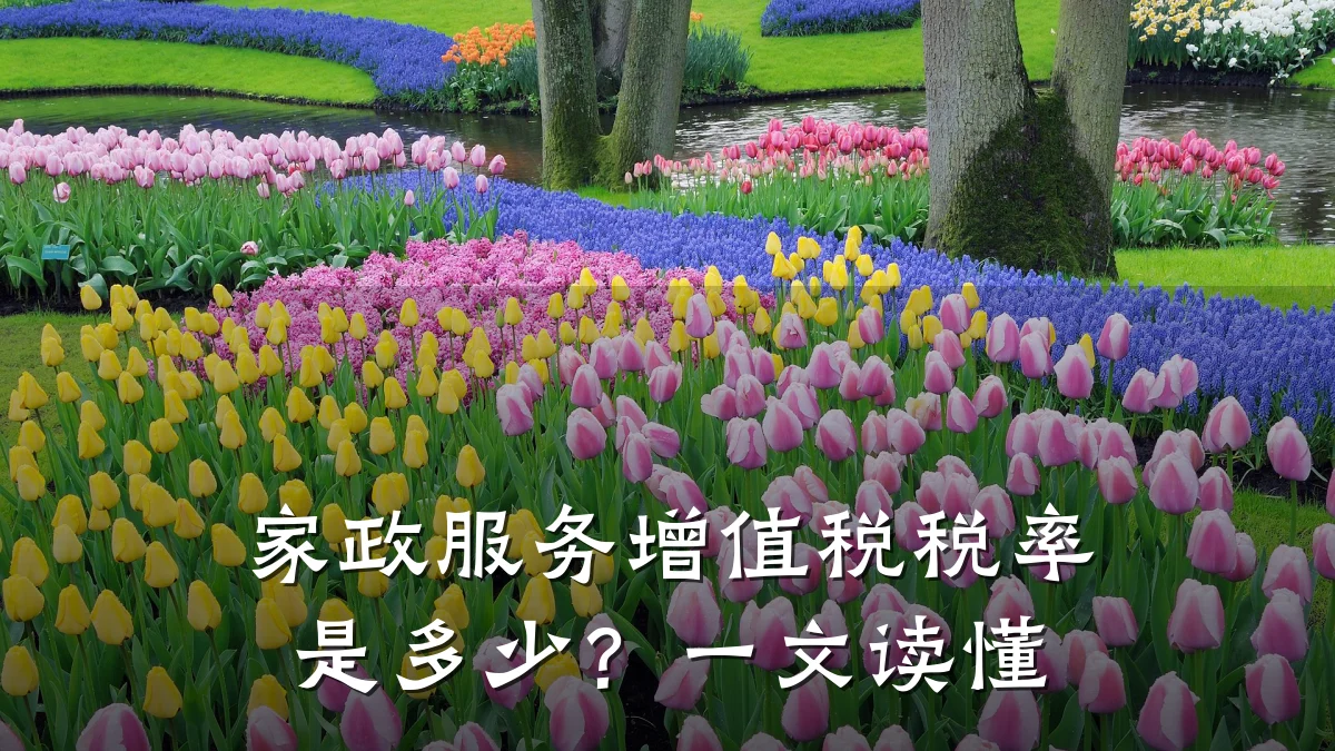家政服务增值税税率是多少？一文读懂