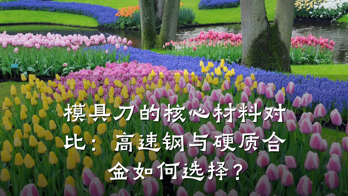 模具刀的核心材料对比：高速钢与硬质合金如何选择？