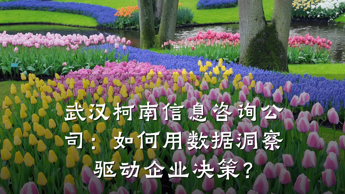 武汉柯南信息咨询公司:如何用数据洞察驱动企业决策?