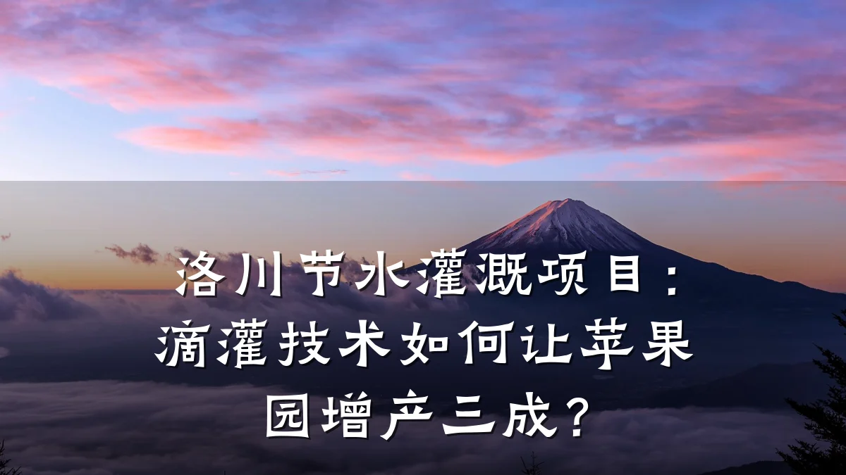 洛川节水灌溉项目:滴灌技术如何让苹果园增产三成?