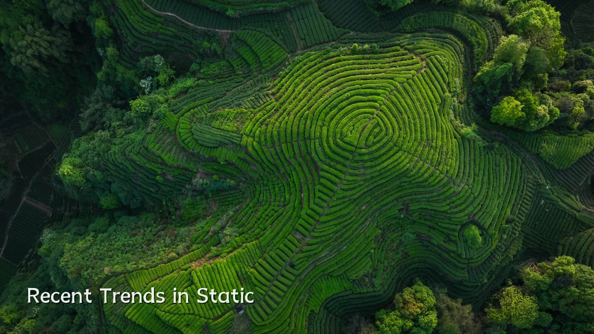 Recent Trends in Static