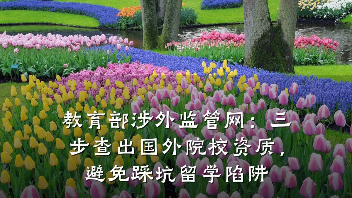 教育部涉外监管网：三步查出国外院校资质，避免踩坑留学陷阱