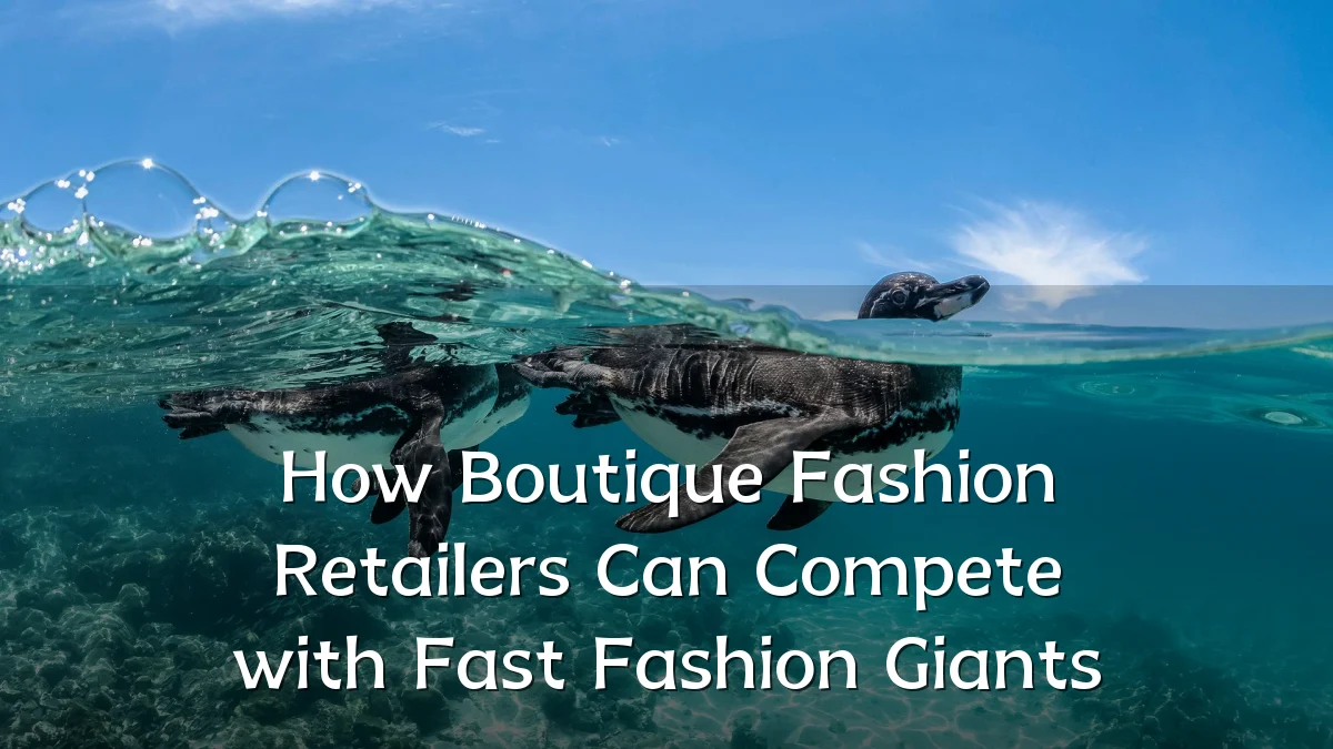 How Boutique Fashion Retailers Can Compete with Fast Fashion Giants