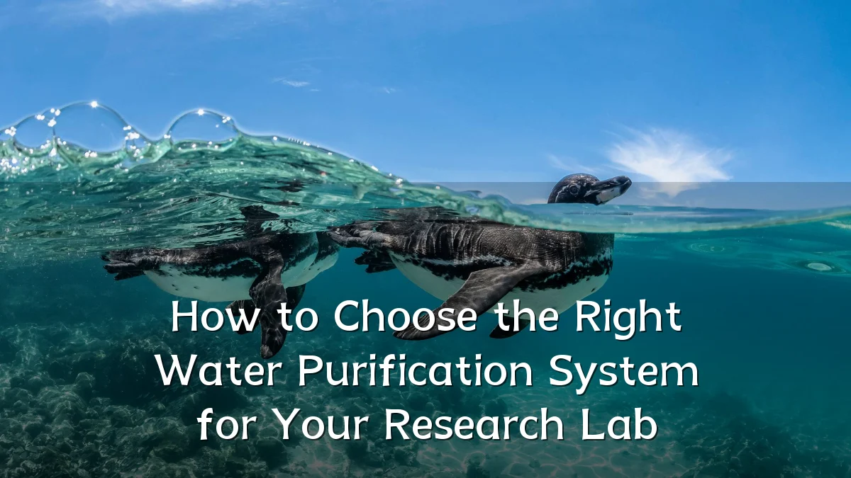 How to Choose the Right Water Purification System for Your Research Lab