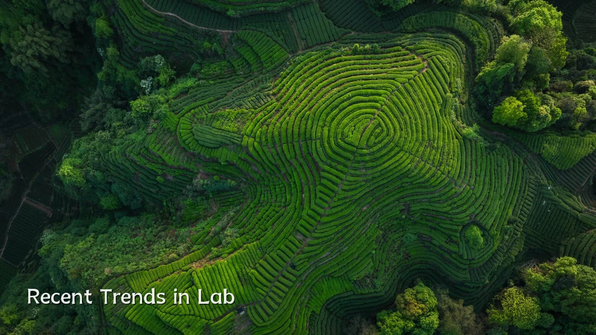 Recent Trends in Lab