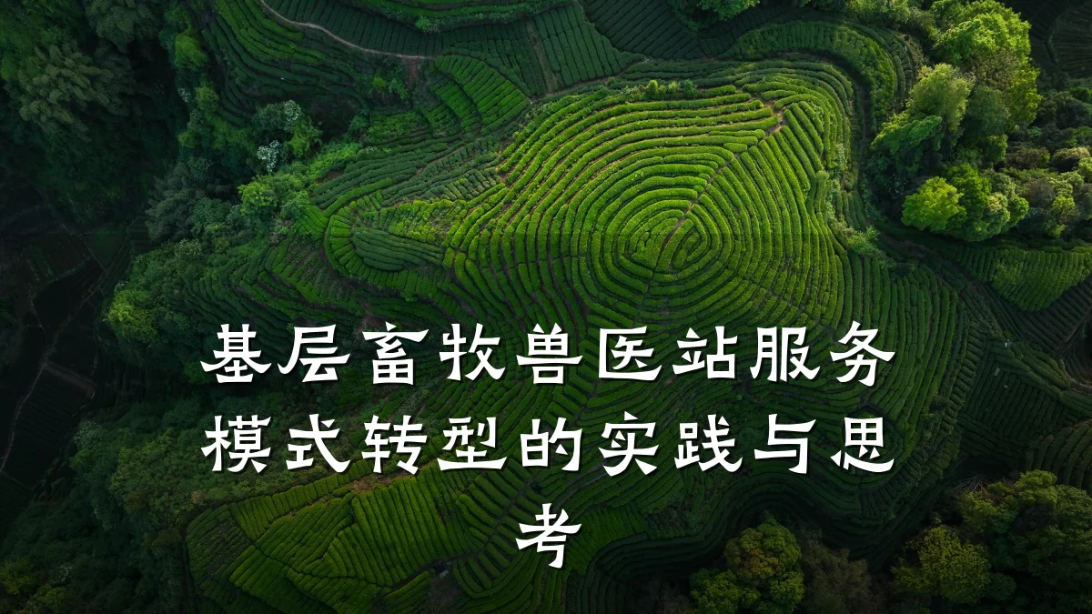 基层畜牧兽医站服务模式转型的实践与思考