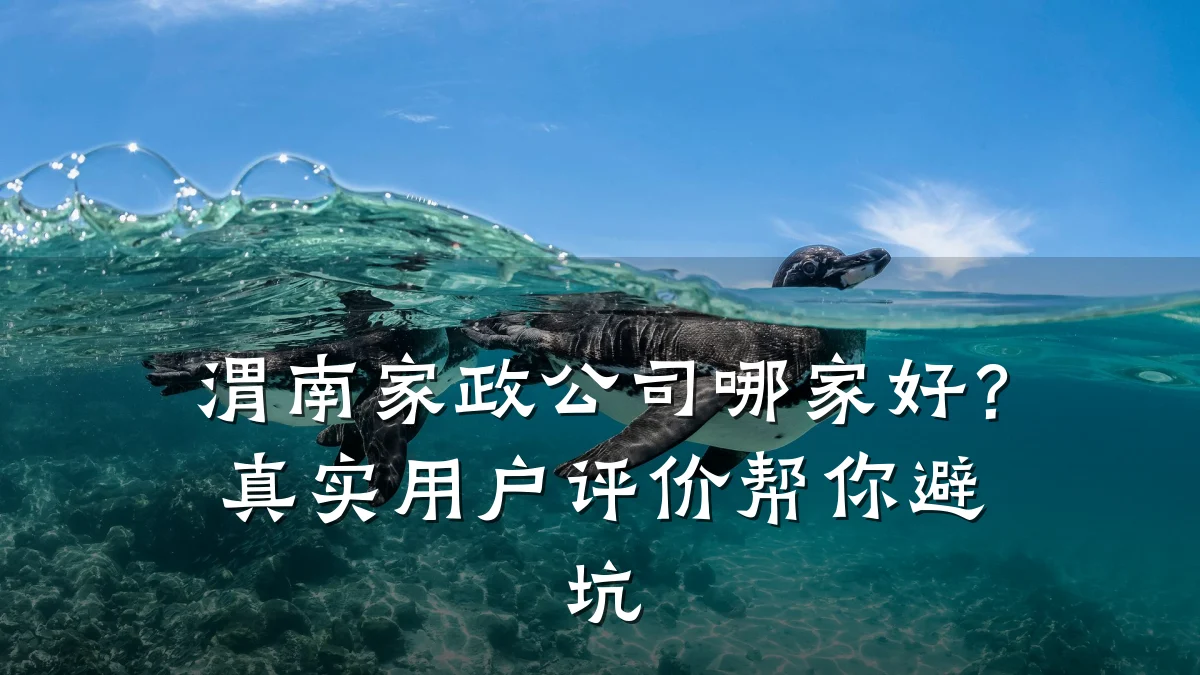 渭南家政公司哪家好？真实用户评价帮你避坑