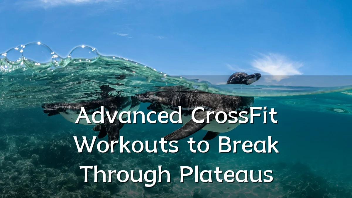 Advanced CrossFit Workouts to Break Through Plateaus