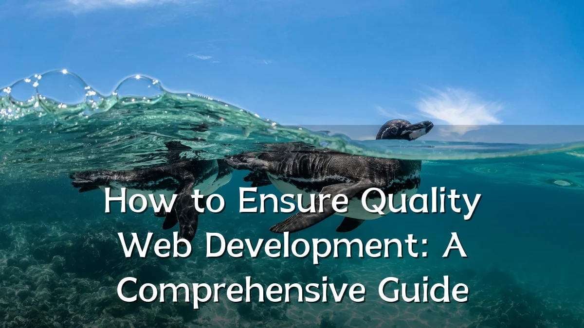 How to Ensure Quality Web Development: A Comprehensive Guide