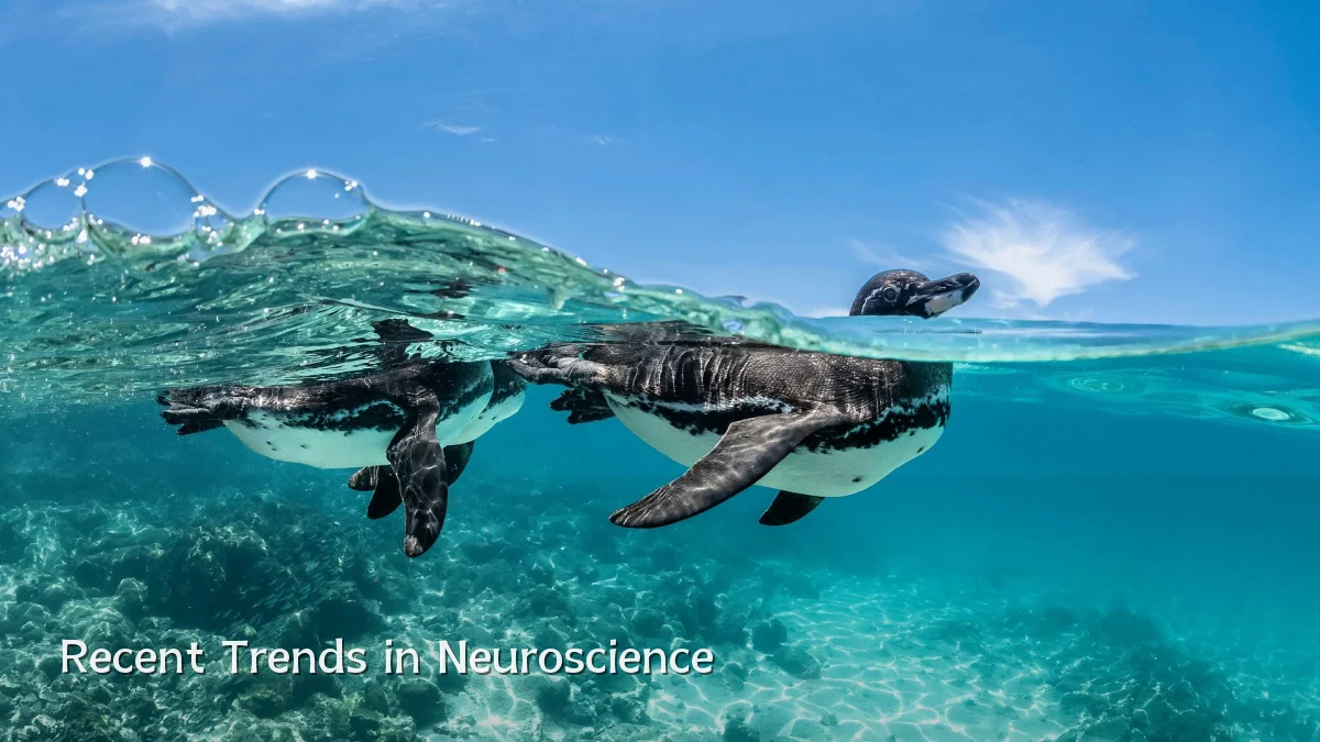 Recent Trends in Neuroscience