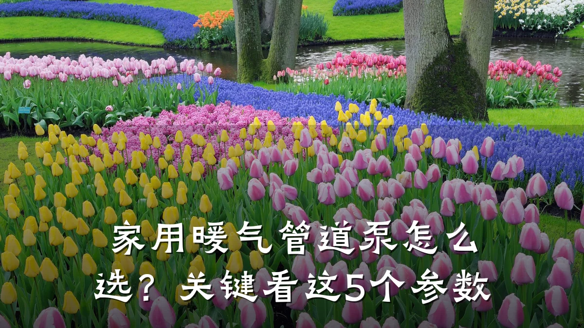 家用暖气管道泵怎么选?关键看这5个参数