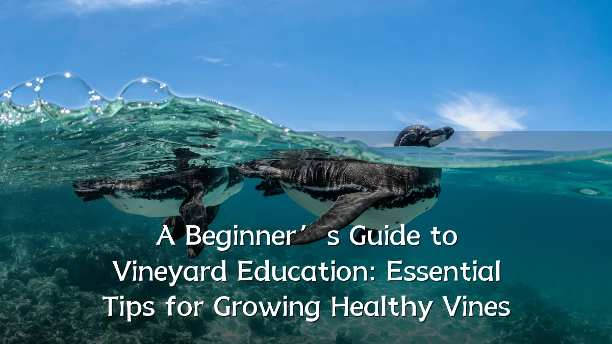 A Beginner’s Guide to Vineyard Education: Essential Tips for Growing Healthy Vines