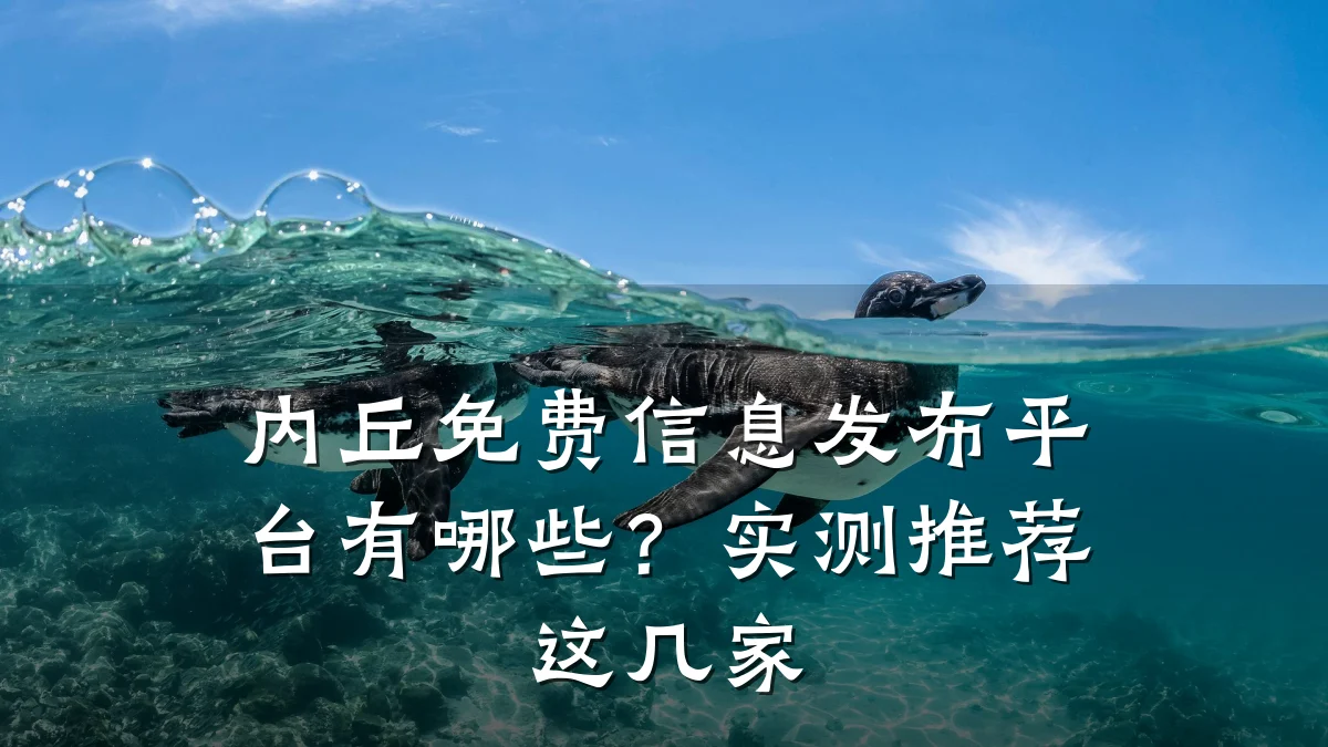 内丘免费信息发布平台有哪些?实测推荐这几家