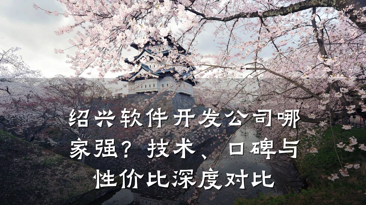绍兴软件开发公司哪家强？技术、口碑与性价比深度对比