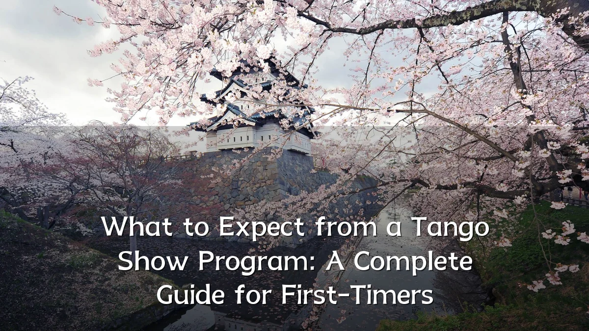 What to Expect from a Tango Show Program: A Complete Guide for First-Timers