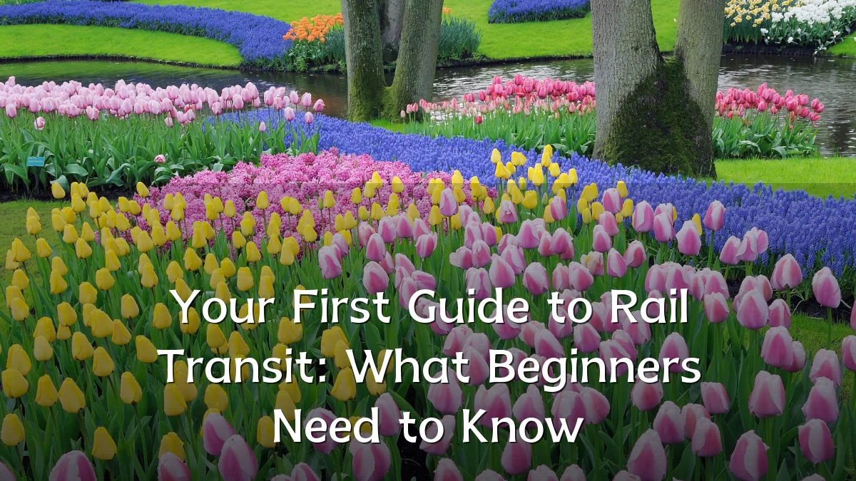 Your First Guide to Rail Transit: What Beginners Need to Know
