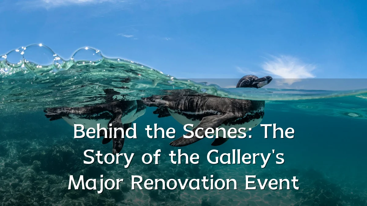 Behind the Scenes: The Story of the Gallery's Major Renovation Event