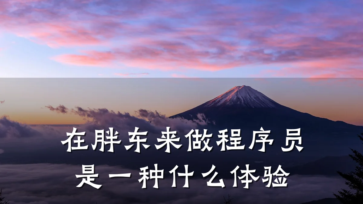 在胖东来做程序员是一种什么体验