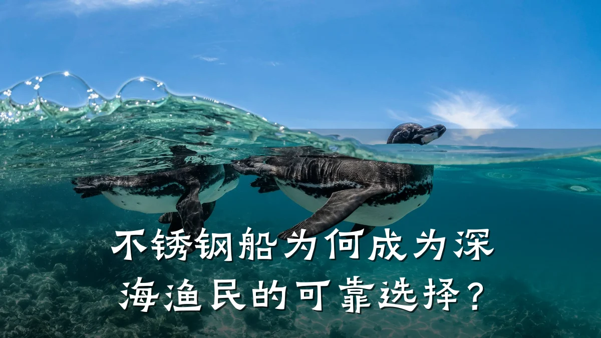 不锈钢船为何成为深海渔民的可靠选择？