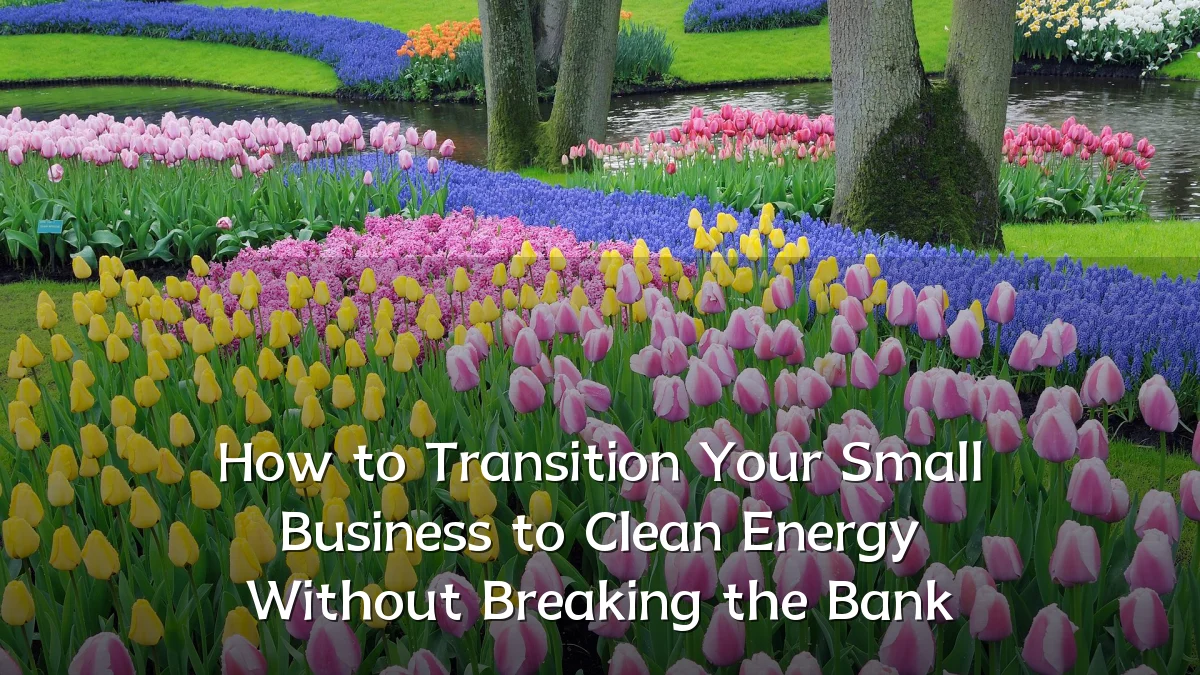 How to Transition Your Small Business to Clean Energy Without Breaking the Bank