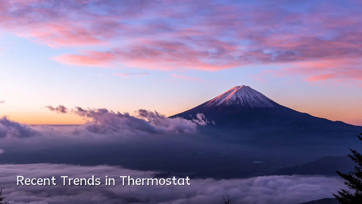 Recent Trends in Thermostat