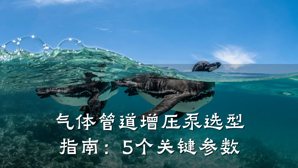气体管道增压泵选型指南：5个关键参数
