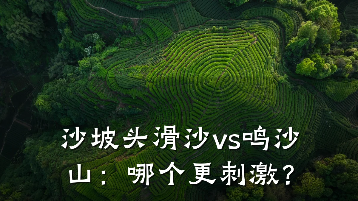 沙坡头滑沙vs鸣沙山:哪个更刺激?