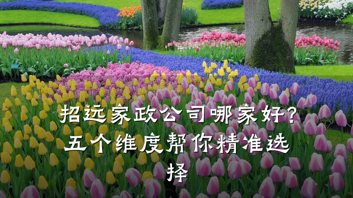 招远家政公司哪家好？五个维度帮你精准选择