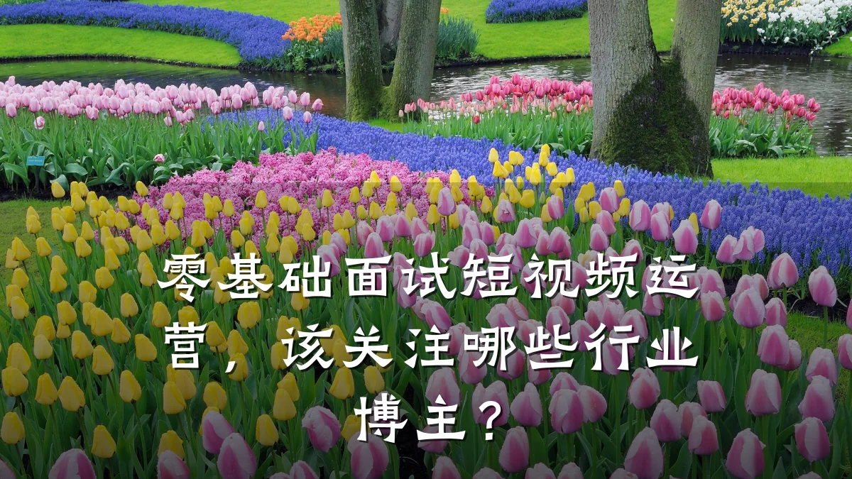 零基础面试短视频运营,该关注哪些行业博主?