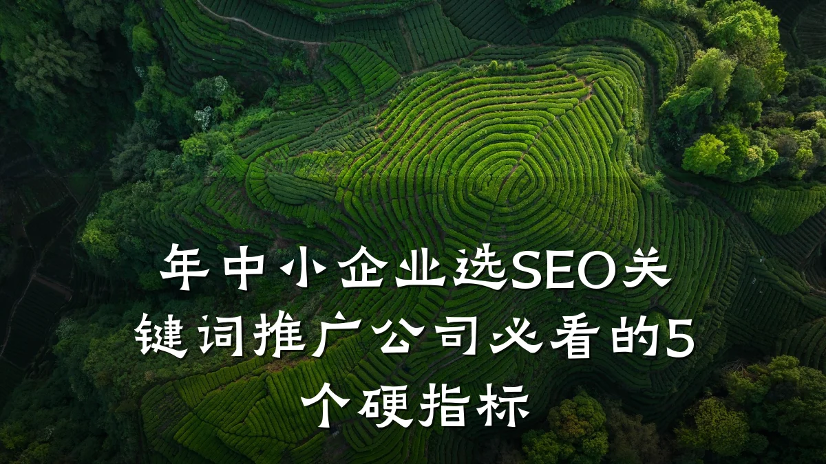 年中小企业选SEO关键词推广公司必看的5个硬指标