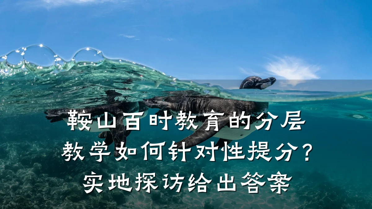 鞍山百时教育的分层教学如何针对性提分？实地探访给出答案