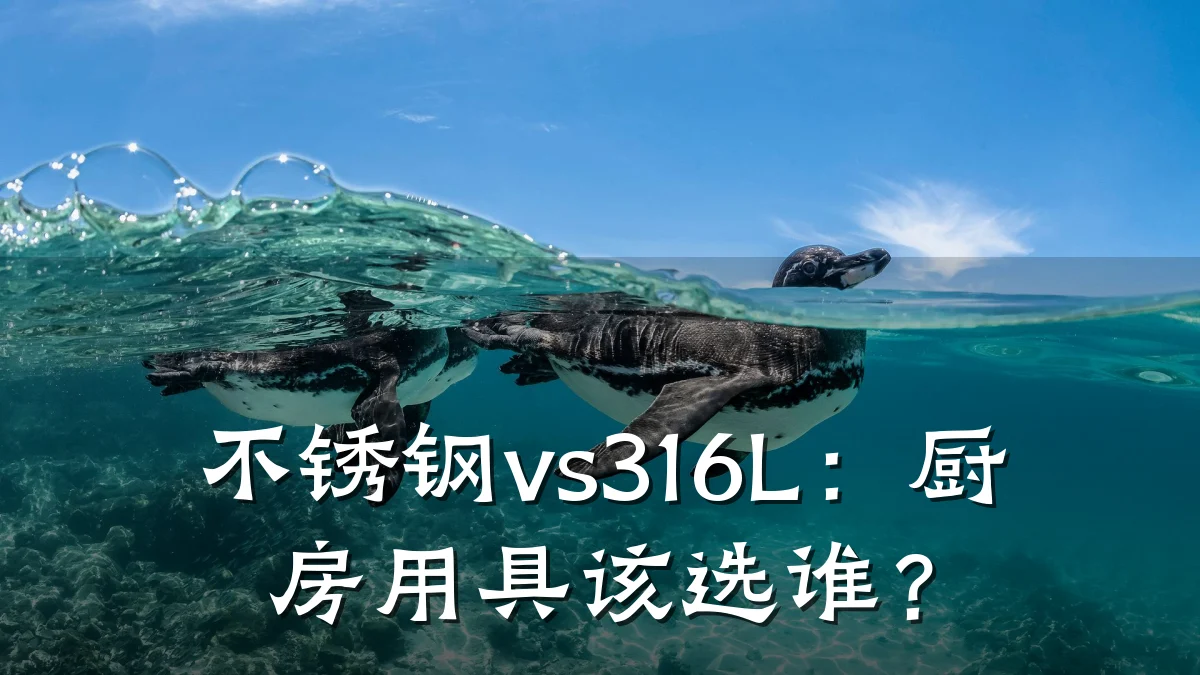 不锈钢vs316L:厨房用具该选谁?