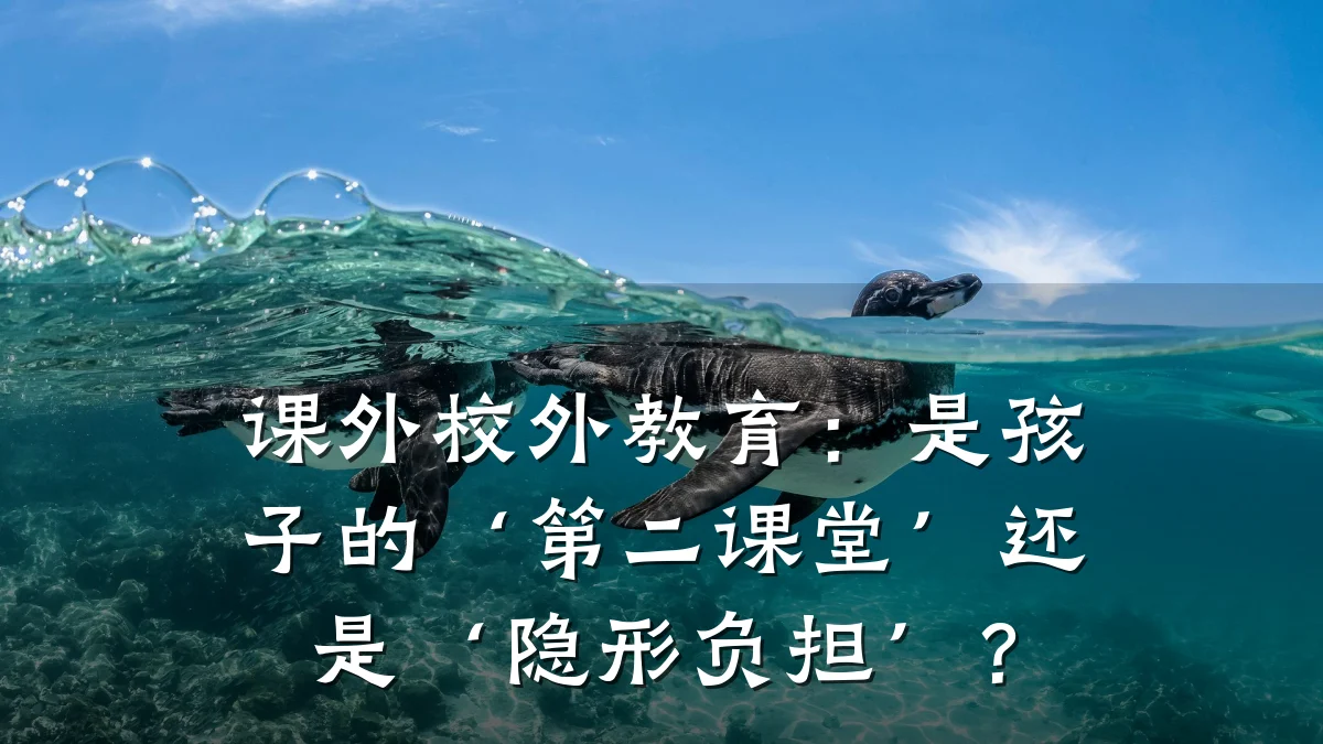 课外校外教育：是孩子的‘第二课堂’还是‘隐形负担’？