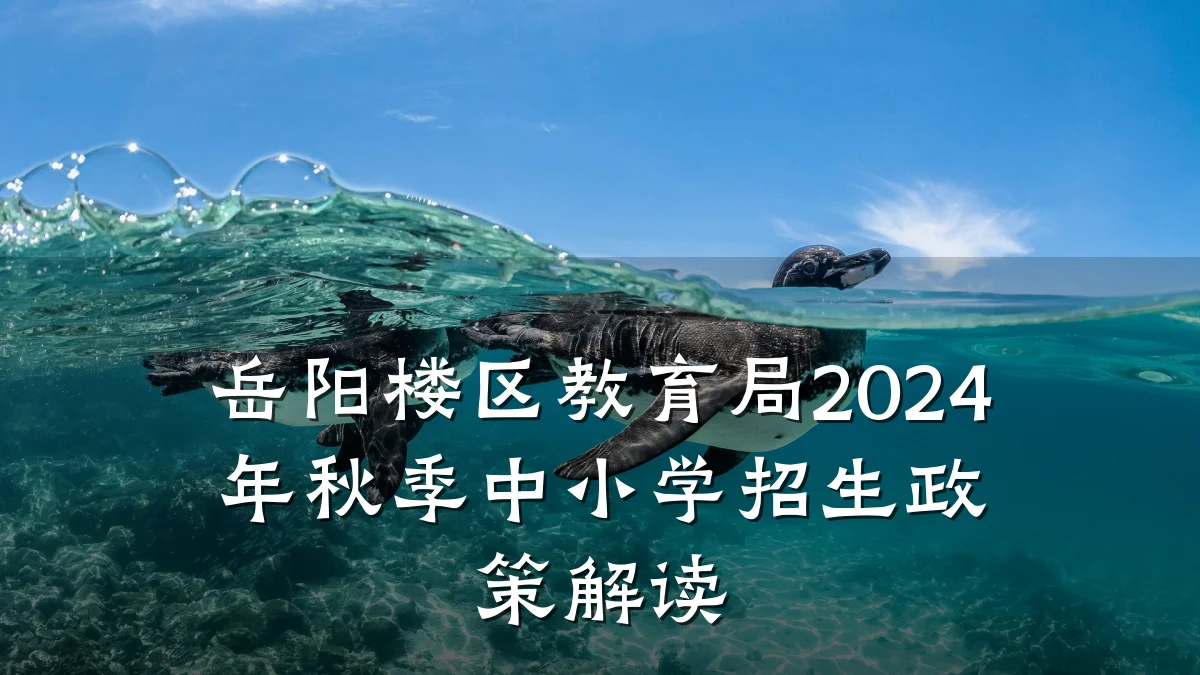 岳阳楼区教育局2024年秋季中小学招生政策解读