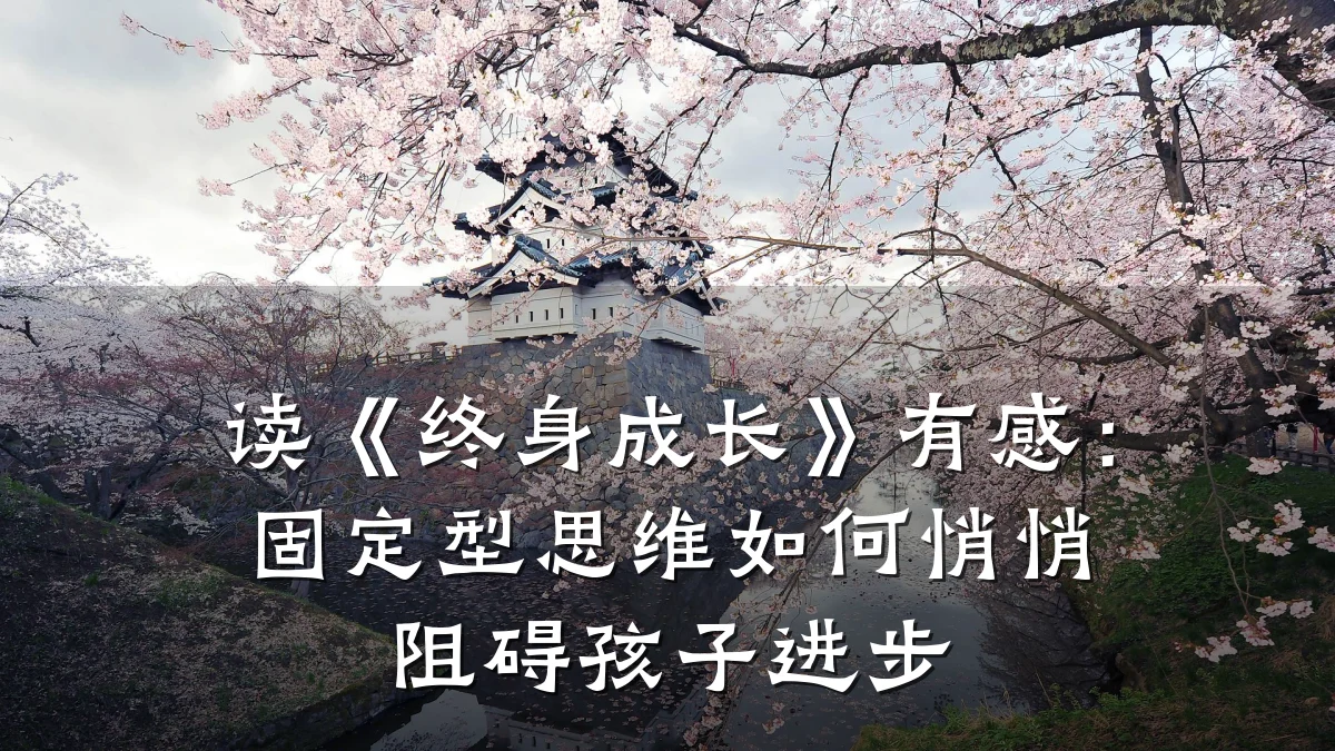 读《终身成长》有感：固定型思维如何悄悄阻碍孩子进步