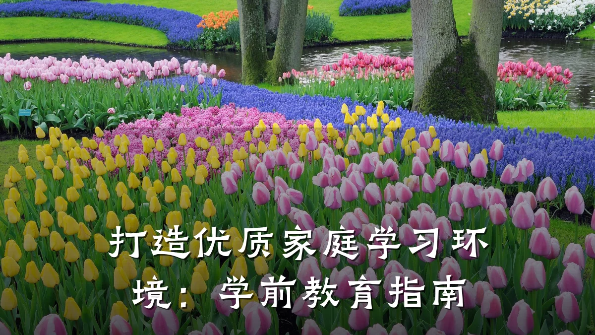 打造优质家庭学习环境：学前教育指南