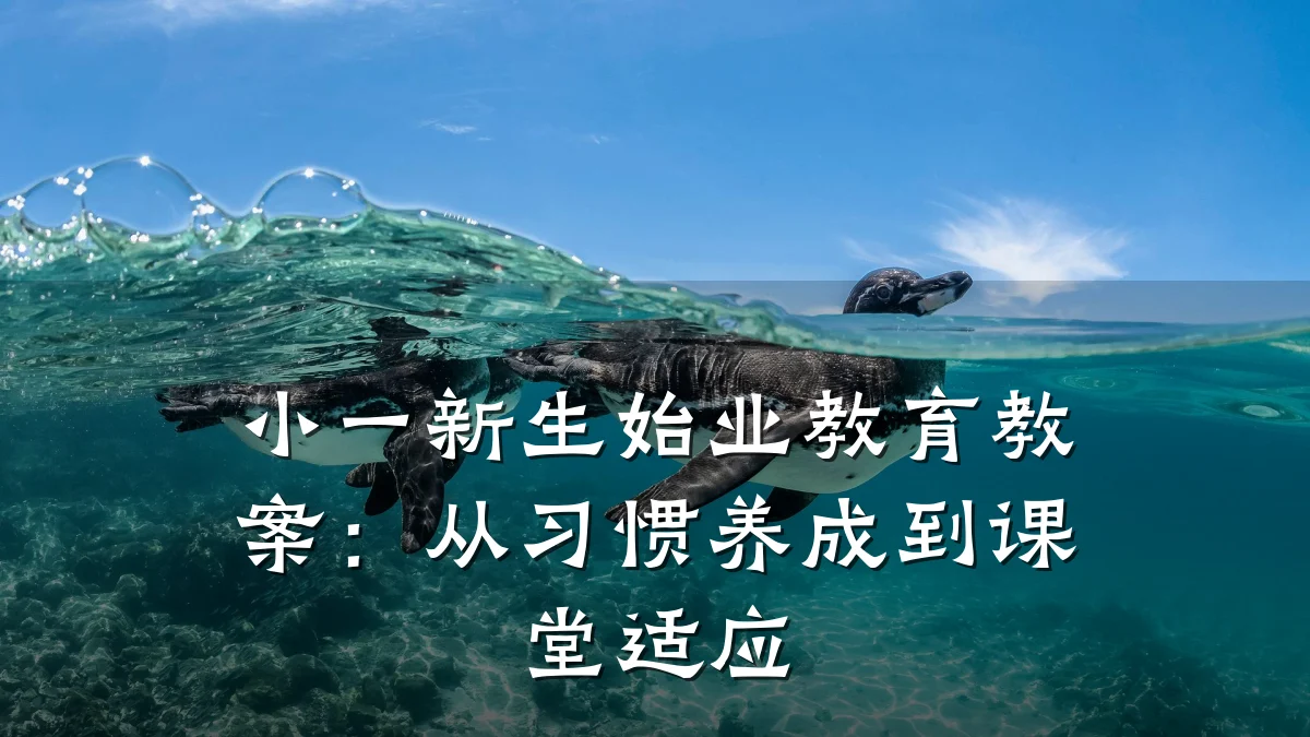 小一新生始业教育教案:从习惯养成到课堂适应
