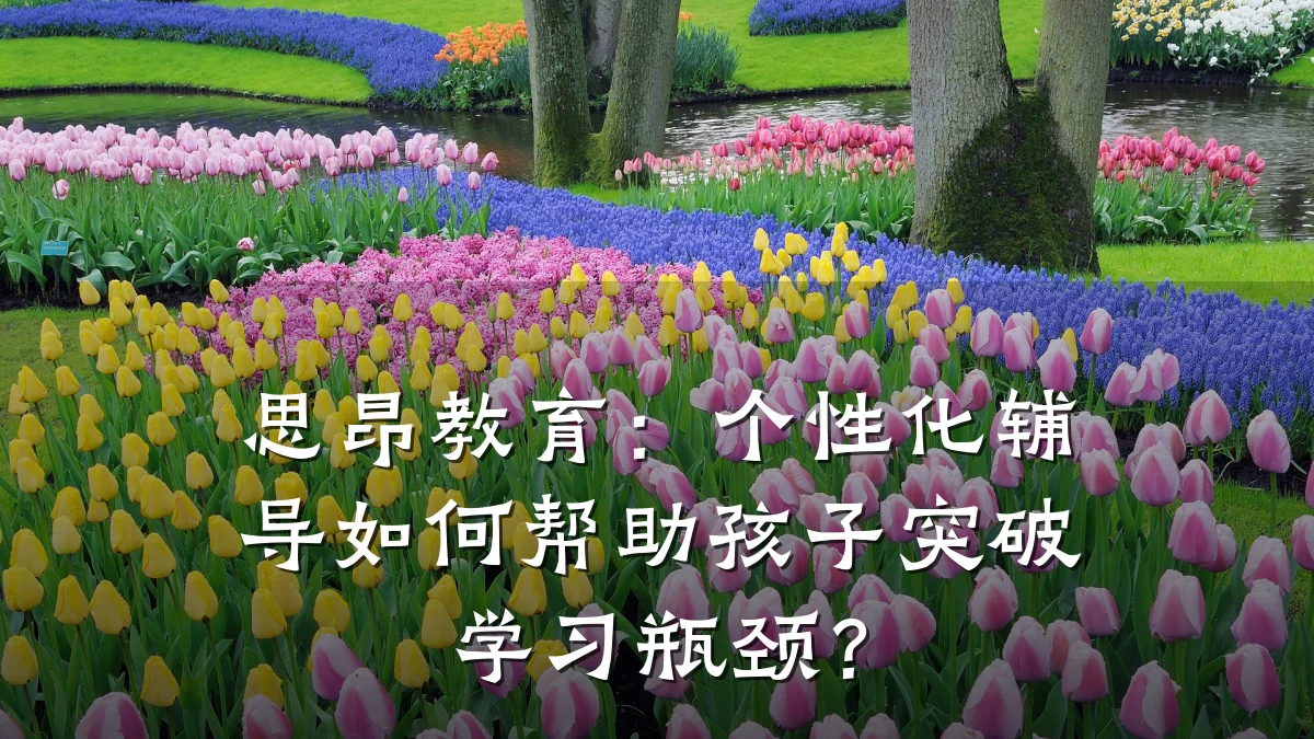 思昂教育：个性化辅导如何帮助孩子突破学习瓶颈？