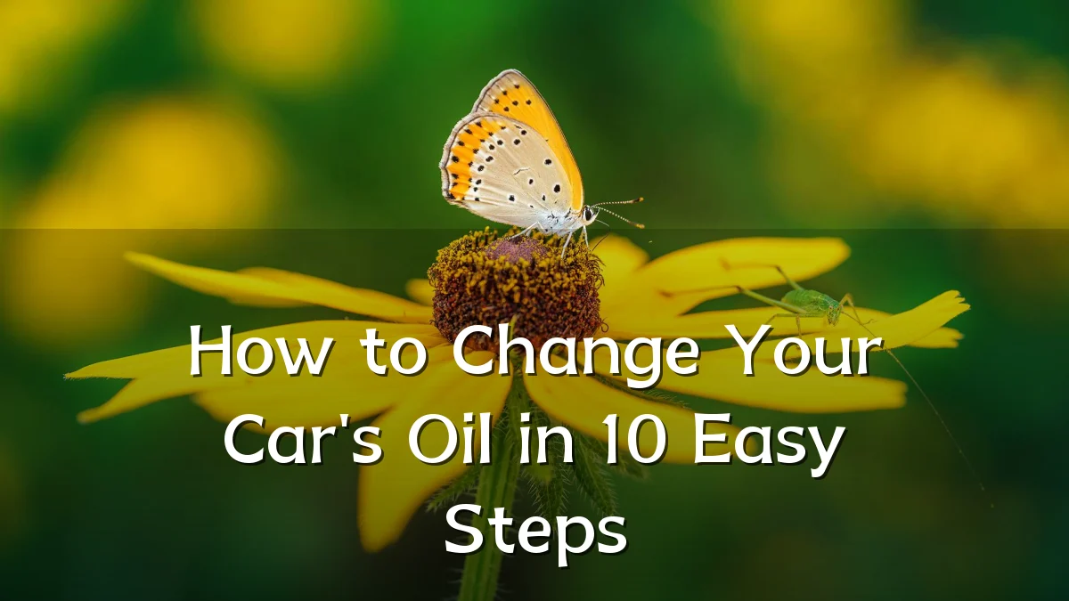 How to Change Your Car's Oil in 10 Easy Steps